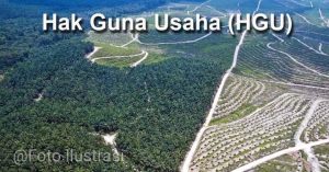 Kena HGU Perusahaan Sawit Tanpa Ganti Rugi Warga Mengeluh