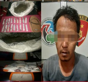 Diduga Bandar Ganja, Warga Desa Tanjung Raya Ditangkap Polisi