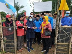 Kelompok Wanita Tani (KWT) Bersatu dan Pemuda Pecinta Pertanian (PPP) Binaan DPD KNPI Banyuasin Lakukan Panen Perdana