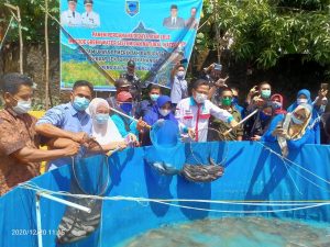 Wujudkan Kabupaten Lahat Swasembada Ikan Dengan Metode GWS dan NWS