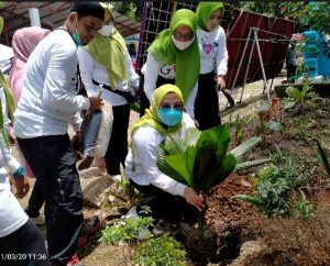 Penghijauan dengan Gerakan Tanaman Hias