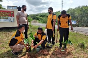 Inovasi Pertanian, Polsek Kota Lahat Ajak Tanam Talas Beneng