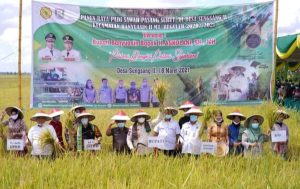 Panen Raya Bupati Banyuasin Targetkan No 1 Nasional