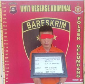 Polsek Gelumbang Berhasil Meringkus Tersangka DPO Curas Yang Sedang Pulang Kerumahnya.