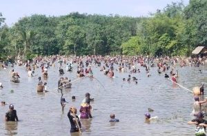 Bupati Lahat Lakukan Tradisi Nanggok Ikan  di Tebat Lempaung