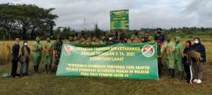 Dukung Ketahanan Pangan Dimasa Pandemi, Kodim 0405/Lahat Panen Raya Padi