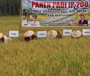 Bupati Banyuasin Menghadiri Panen Raya Padi IP 200 di Desa Sri Mulyo