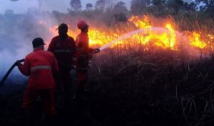 Masyarakat Harus Waspada Karhutla, Jumlah Hotspot di Sumsel Meningkat