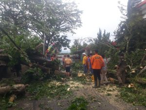 Akibat Angin Kencang Pohon Roboh Hantam Tembok Zipur dan Kantor Telkom