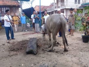 Gelar Sedekah Beduson di Desa Sugih Waras  Masyarakat Sambut Antusias