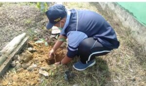 Peduli Lingkungan, Mahasiswa KKN UIN Walisongo Semarang Gandeng Pemdes Adakan Penanaman Pohon