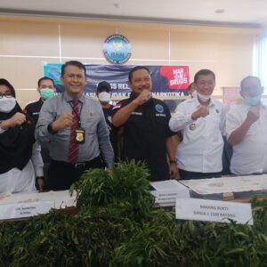 BNNP Sumsel Amankan 1.000 Batang Ganja