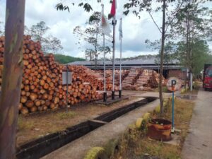 Karyawan PT SGS Mengalami Kecelakaan Kerja Diduga Jari Tangan Gepeng, Kuku Lepas dan Tulang Retak