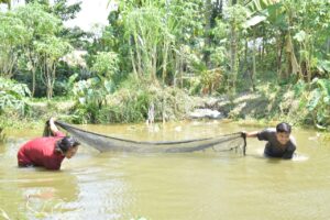 Berdayakan Masyarakat, PTBA Ubah Lahan Bekas Tambang Jadi Tambak Ikan