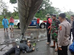 Akibat Bencana Alam Pohon Tumbang, Satpam Bank Ini Meninggal Dunia