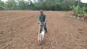 Manfaatkan Lahan Tidur, Kodim 0405/Lahat Tanam Jagung