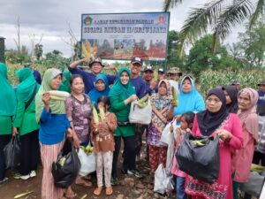 Dukung Swasembada Pangan, Dansecata  Rindam II /Sriwijaya Panen Jagung Bersama Masyarakat di Seputaran Asrama Dodik