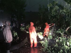 Polisi Evakuasi Pohon Tumbang yang Menghalangi Jalan Jenderal Bambang Utoyo