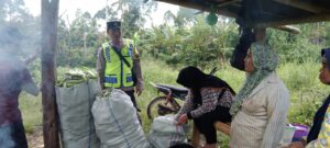 Ketahanan Pangan, Bhabinkamtibmas Polsek Jarai Bripka R Gumara Sambangi Kebun Warga