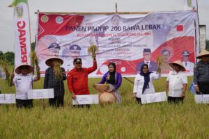 Panen Raya di Sungai Dua, Bupati : Mari Kita Bangkitkan Pertanian di Banyuasin