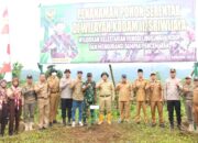 Kodim 0405/Lahat Tanam Ratusan Pohon di Desa Mengkenang Kecamatan Mulak Ulu