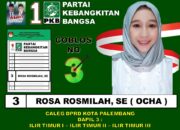 Caleg DPRD kota Palembang, Rosa Rosmilah SE Caleg Dapil 3 IT 1 IT 2 dan IT 3, Di Pilih Ya !!