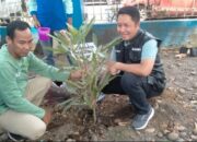 Dukung Hijaukan Kabupaten Lahat, Kejari Lahat Tanam Pohon Tabebuya