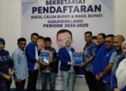 Pasangan BERLIAN Mendapatkan Golden Tiket Di DPC Partai Demokrat