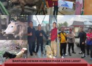 Idul Adha 1445 H, Lapas Lahat Terima Bantuan Hewan Qurban 3 Sapi, 2 Kambing