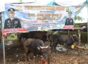 Polres Lahat Penyembelihan Hewan Qurban 1445 H Tahun 2024