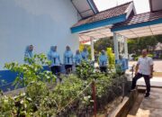 Dukung Swasembada Pangan, SMANPALA  Manfaatkan Lahan Pekarangan