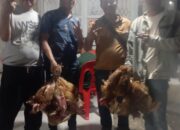 Program Kematian Bantuan 10 Ekor Ayam Periode Kak Wari, Diterapkan Lagi Paslon 02  Bursah Widia