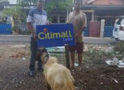 Rayakan Idul Adha Citimall Lahat Berikan Hewan Qurban Untuk Masyarakat Sekitar