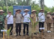 Dukung Ketahanan Pangan Nasional, Balai Pemasyarakatan Lahat Penamaman Pohon Kelapa Serentak