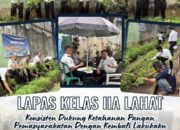 Lapas Kelas IIA Lahat Konsisten Dukung Ketahanan Pangan Pemasyarakatan, Kembali Laksanakan Panen Raya Serentak