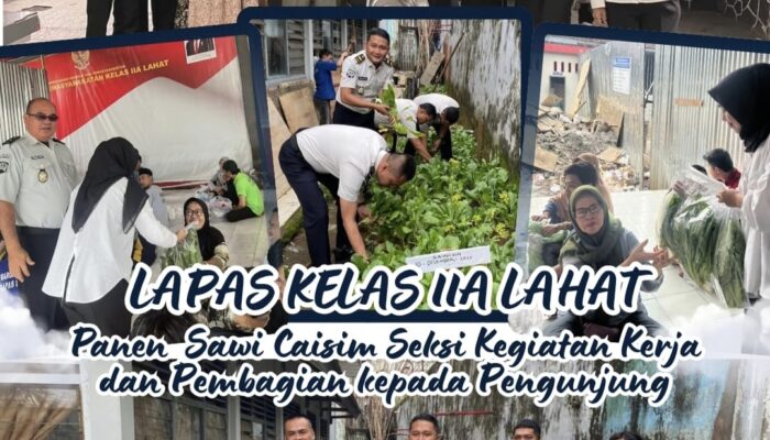 Kembali Dukung Program Ketahanan Pangan Nasional, Lapas kelas IIA Lahat Panen Sawi Caisim