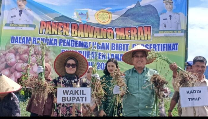 Panen Perdana Bawang Merah Brebes, Wabup Lahat  : Keunggulan Tersendiri dan Nilai Jual Lebih Tinggi