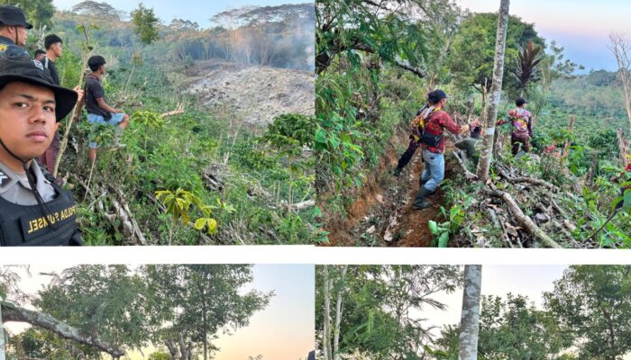 Kebun Kopi Terbakar Akibat Bara Api, Polisi Beri Teguran Keras dan Kedepankan Penindakan dengan Hati Nurani