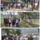 Bupati Lahat Tekankan Mutu dan Target pada Peninjauan Revitalisasi Taman Ribang Kemambang