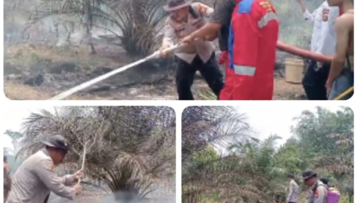 Polres Lahat Bersama, Damkar dan Masyarakat, Tangani Karhutlah di Kikim Timur