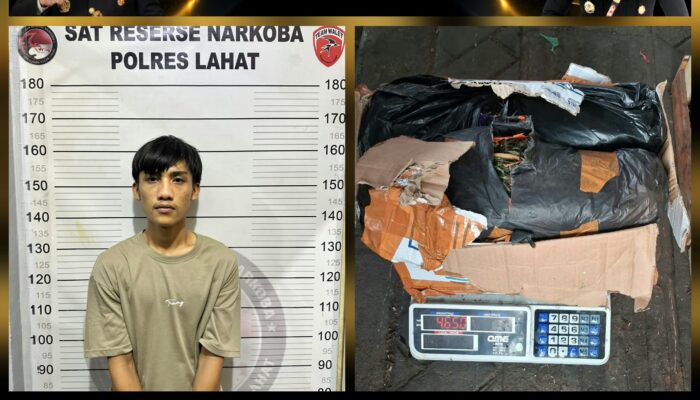 Satresnarkoba Polres Lahat Ungkap Kasus Dugaan Peredaran Ganja, Sita BB 4,65 Kg